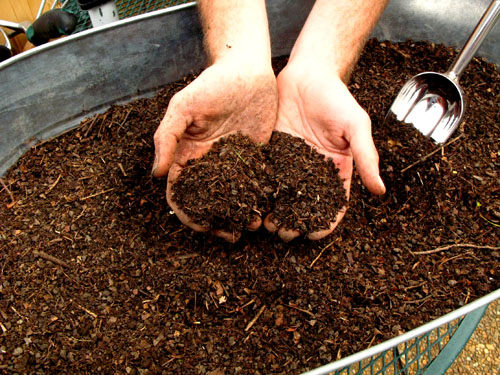 sifted_compost.jpg